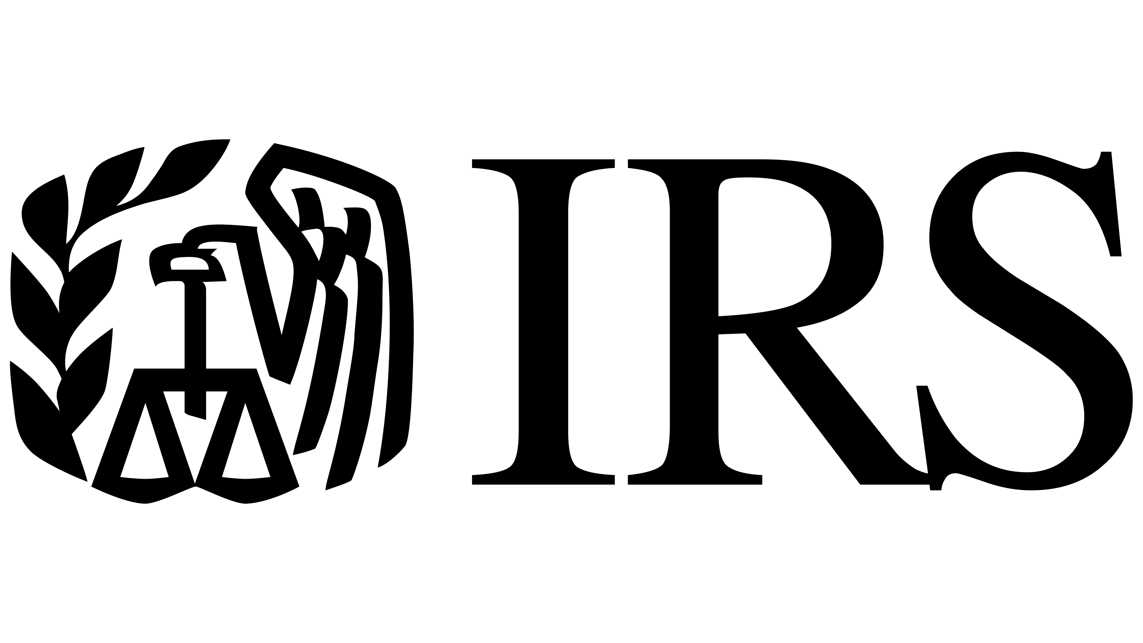 $irs logo